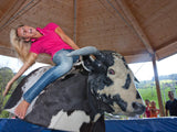 Mechanical bull