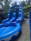 #2 Wet Dolphin Water Slide (22X15X10)
