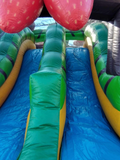 Mushroom bouncy castle (17x30x20)