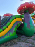 Mushroom bouncy castle (30x30x20)