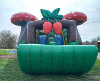 Mushroom bouncy castle (35x25x20)