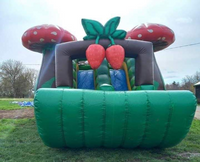 Mushroom bouncy castle (17x30x20)