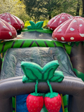 Mushroom bouncy castle (17x30x20)