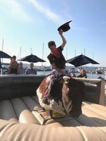 Mechanical bull