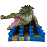 Crocodile Slide (39x15x28) All Day Rental